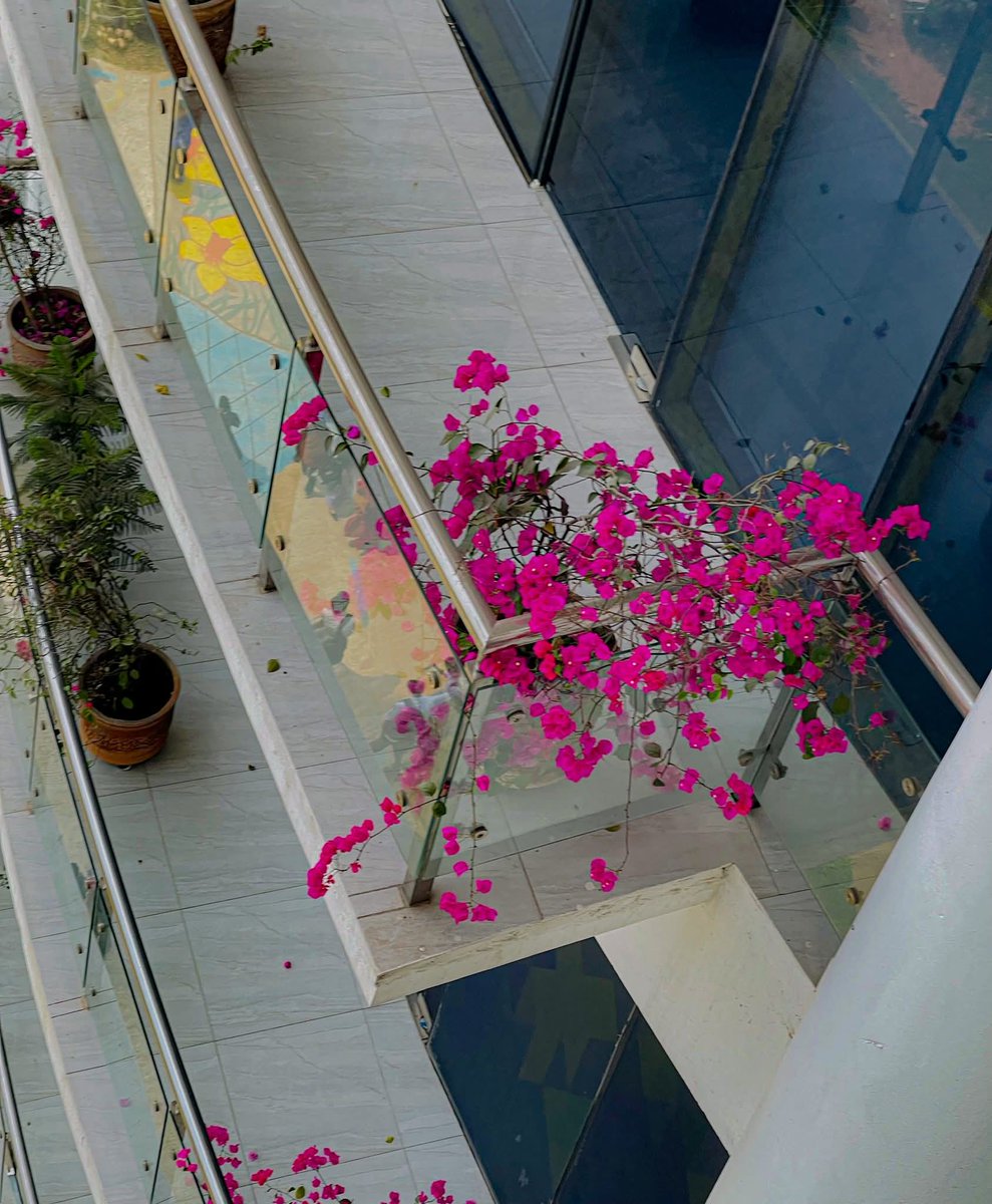 Mita Hossain tweet media