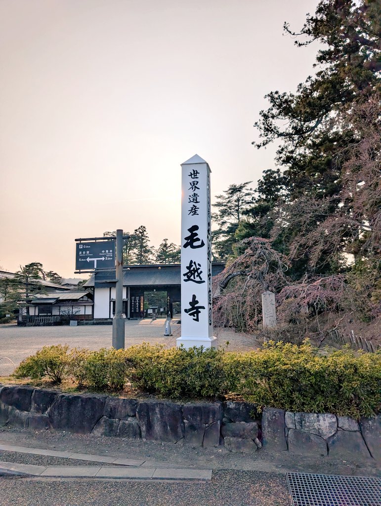 Griffon7305 tweet media