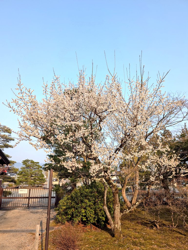 Griffon7305 tweet media