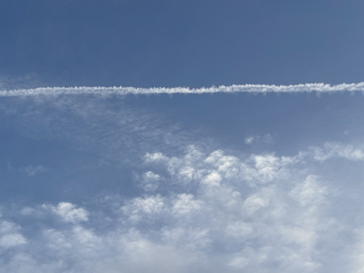 CoCo美漢方 田中 友也です。 tweet media