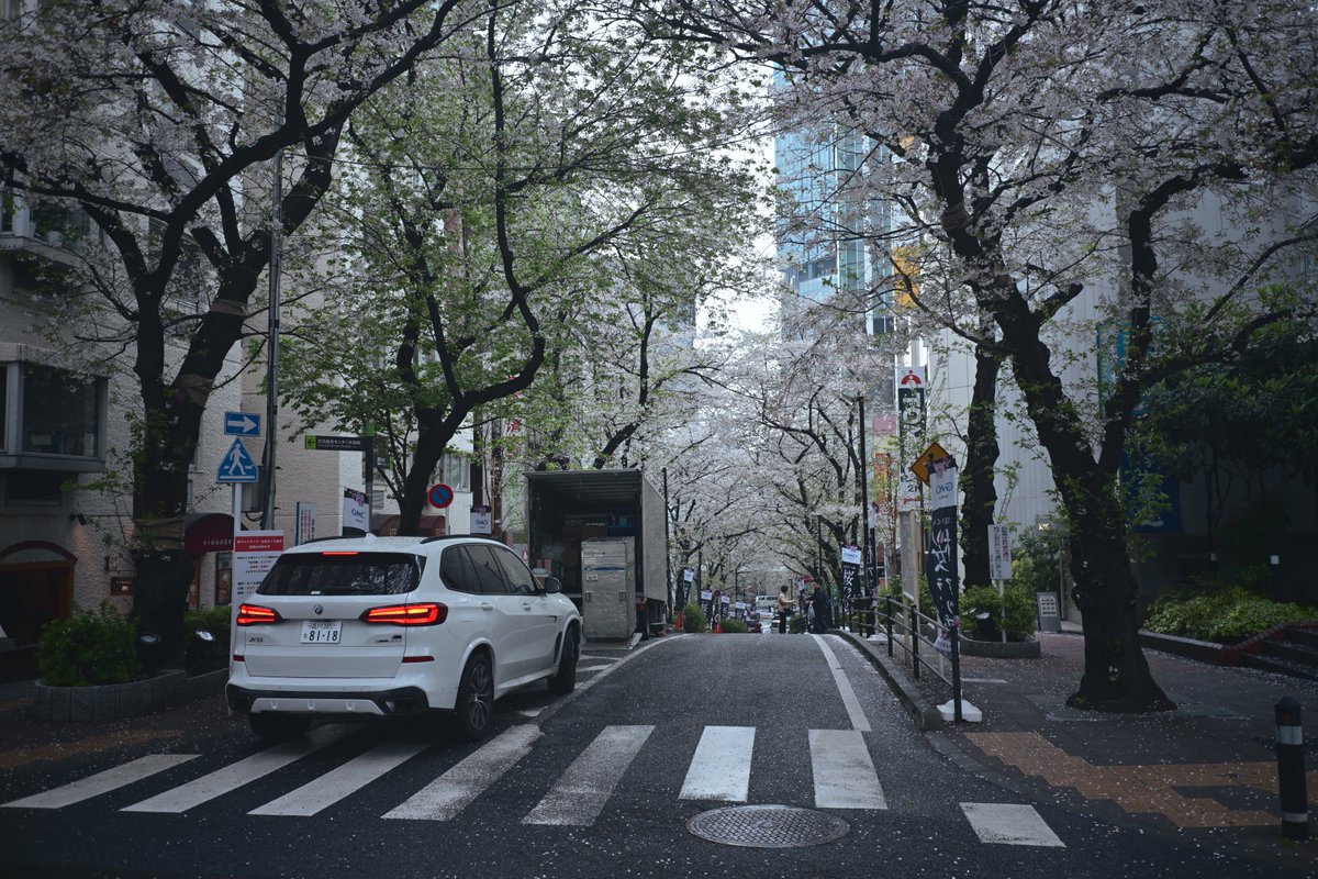 うよったん🐰🍒 tweet media