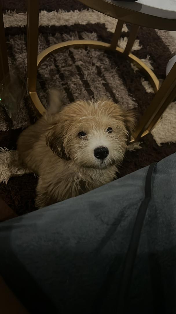 Osas | Brand Designer tweet media