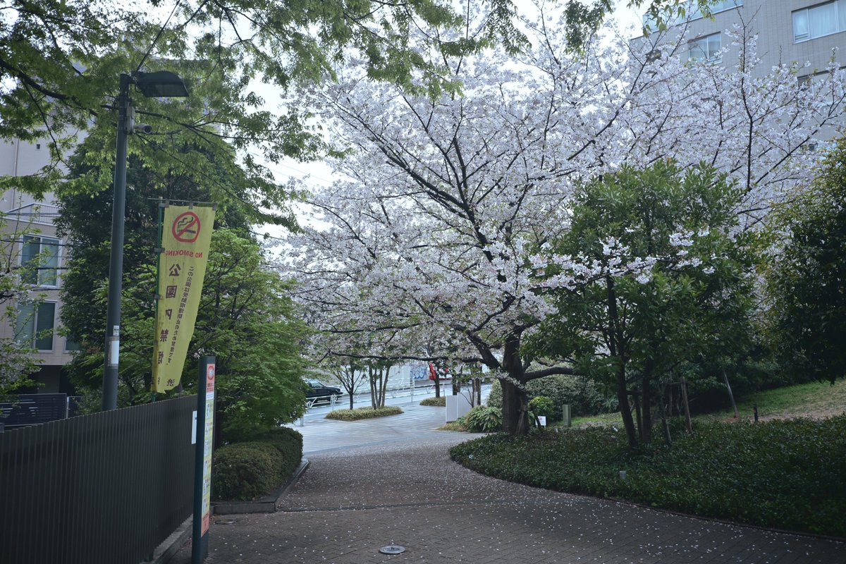 うよったん🐰🍒 tweet media