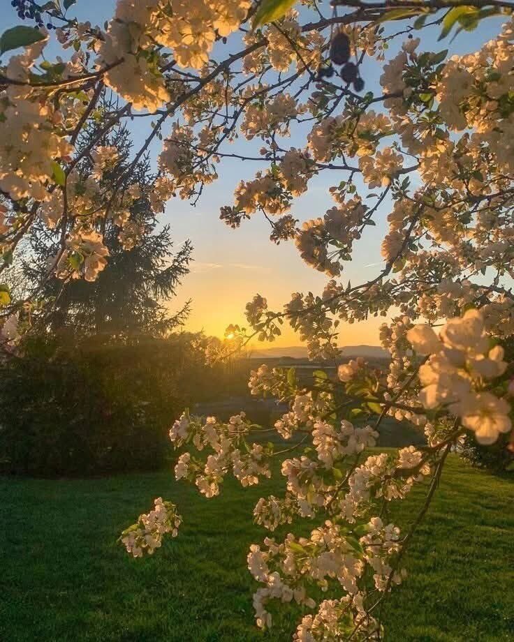 Marc CAB 🇫🇷 tweet media