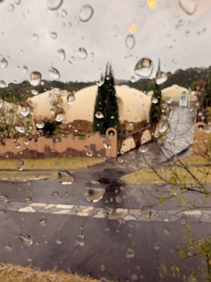 キルちゃん 🍍 tweet media