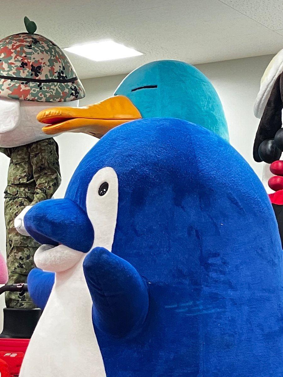 さぬてつ tweet media