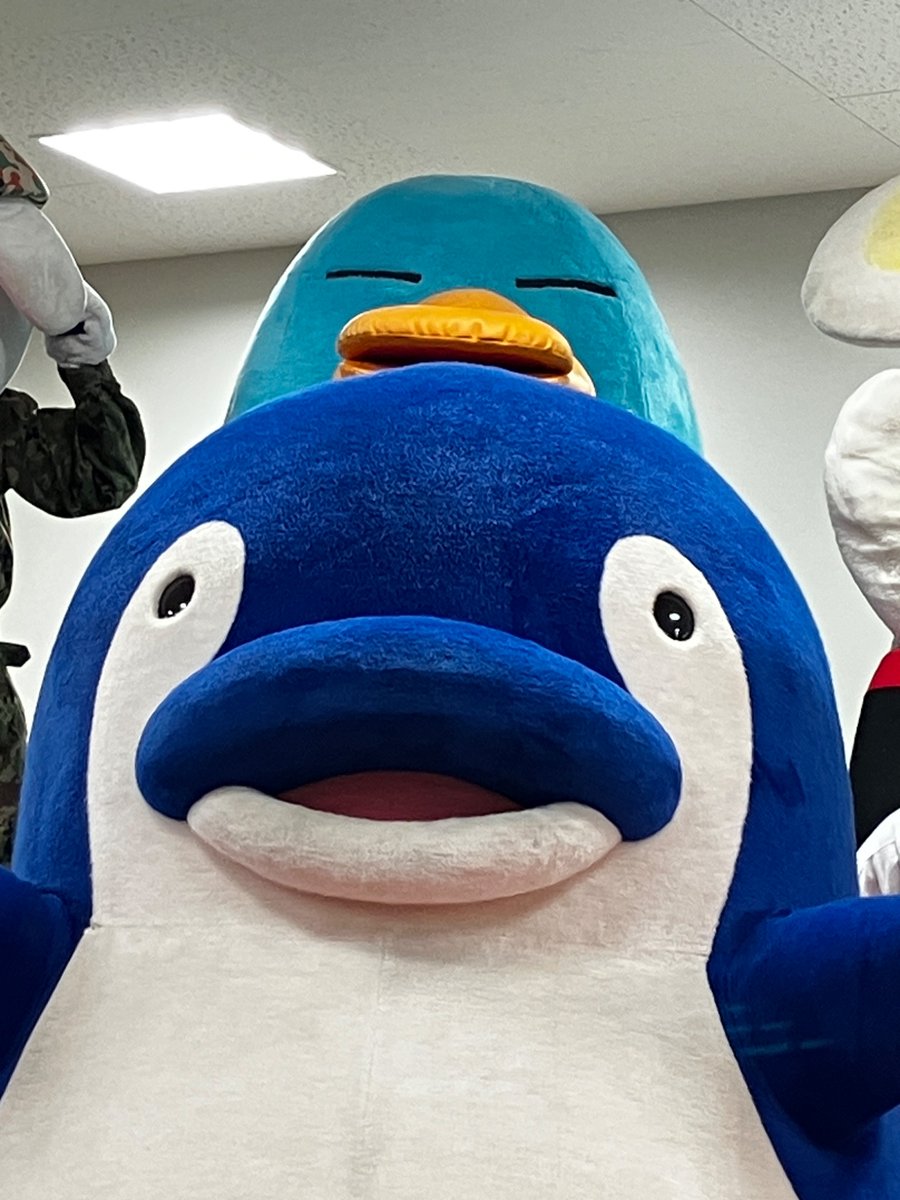 さぬてつ tweet media