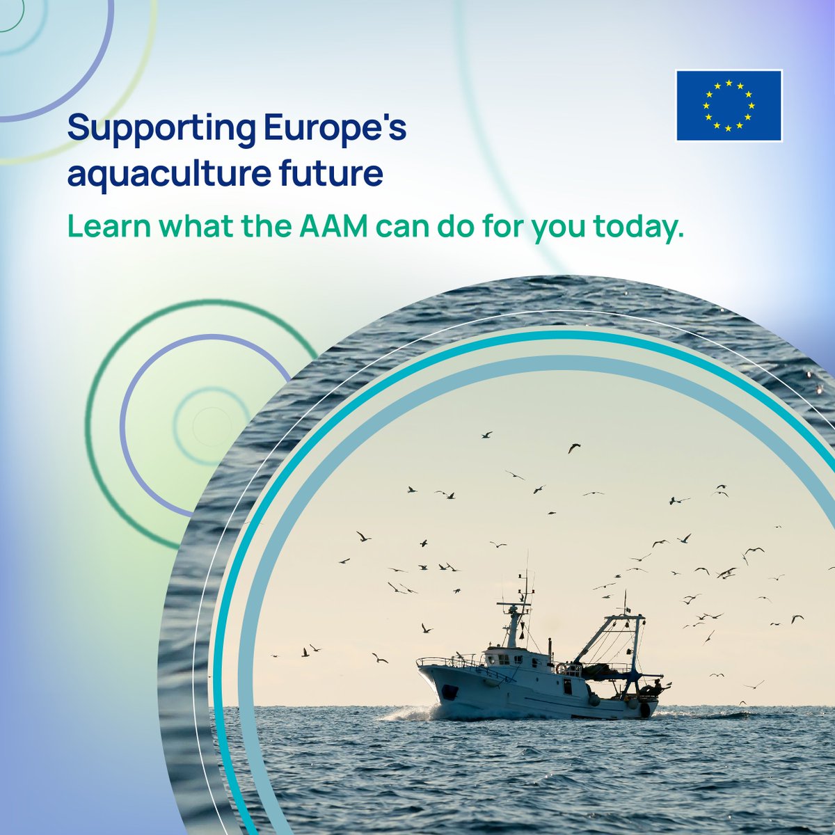 EU Maritime & Fish tweet media