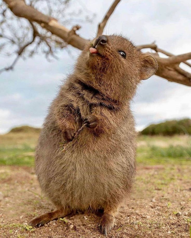 O_ops! 💌 tweet media