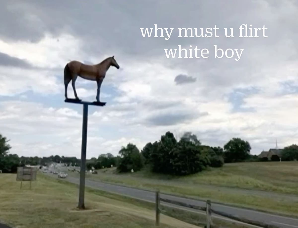 horse dentist tweet media