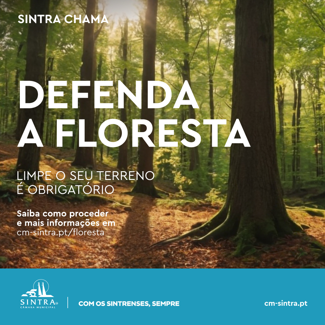 Proprietários e arrendatários devem cumprir as faixas de proteção, ajudando a proteger vidas, biodiversidade e o património Sintrense.

 👉 50 metros em redor das habitações
👉 100 metros junto a aglomerados populacionais

Saiba mais: ow.ly/zM4Y50Yn3cE