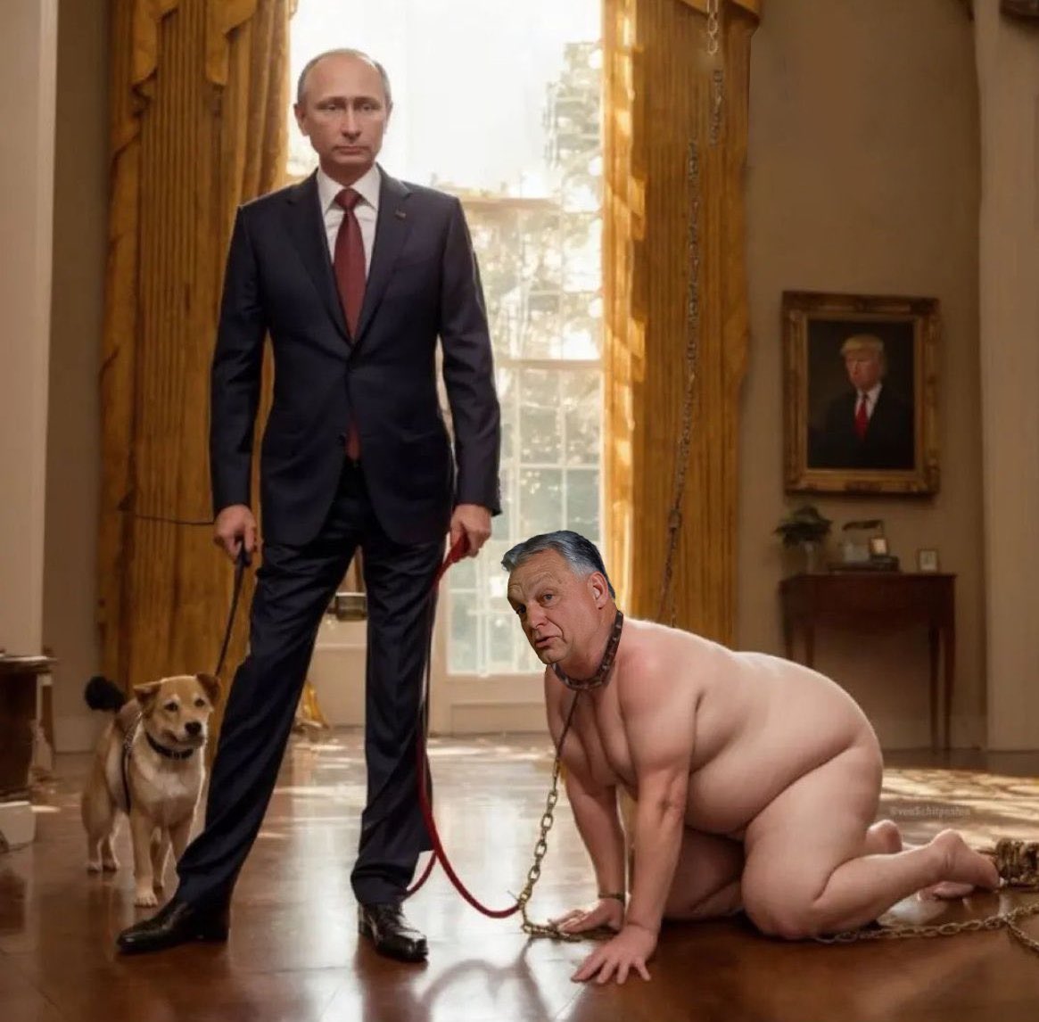 Brahccoli tweet media