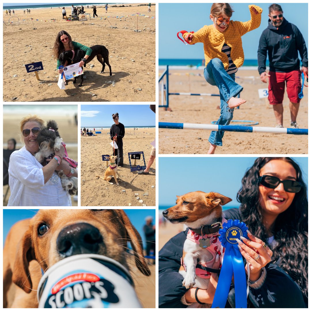 CornwallRspca's tweet photo. 🐾🌊 PAWS ON THE BEACH IS BACK! 🌊🐾
📍 Watergate Bay
📅 Sat 11 Apr | ⏰ 11–3 (Dog show reg 10:30)

Dog show, agility, stalls, family fun &amp; more 🐶🎨 Plus a Channel 5 crew filming!

💙 Support local rescue animals

Bring the whole family—see you there! 🐕✨ https://t.co/FnyRrSG4wD