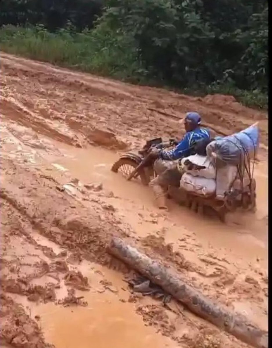 Tiana_ada tweet media