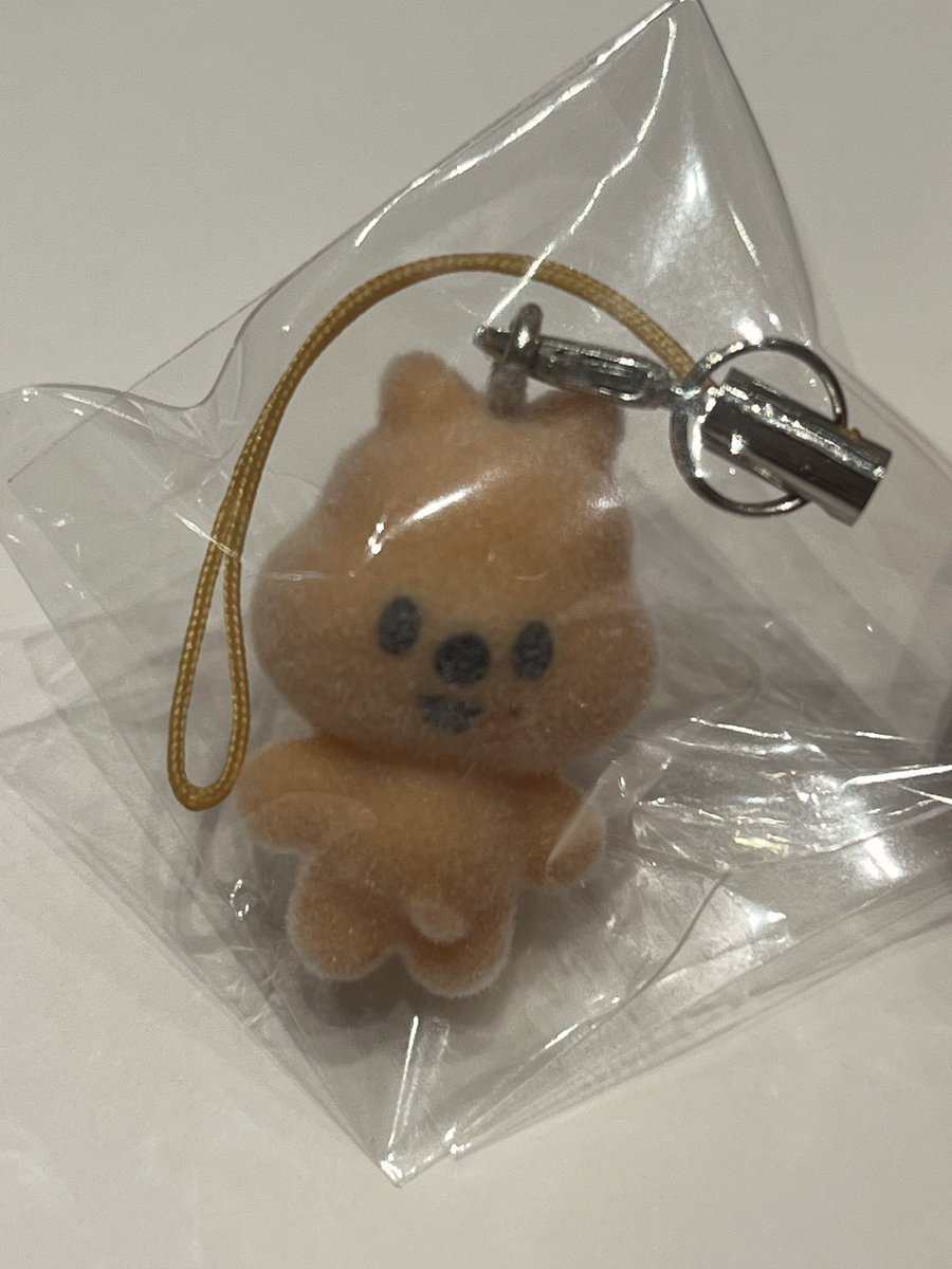 뽁러삐 tweet media