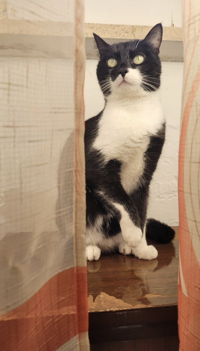 maimai 🌷 tweet media