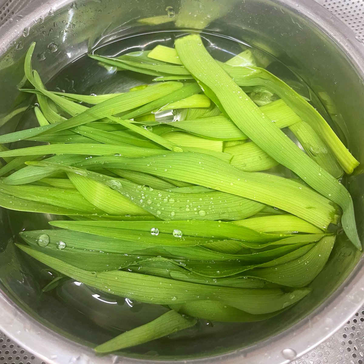 박작가 tweet media