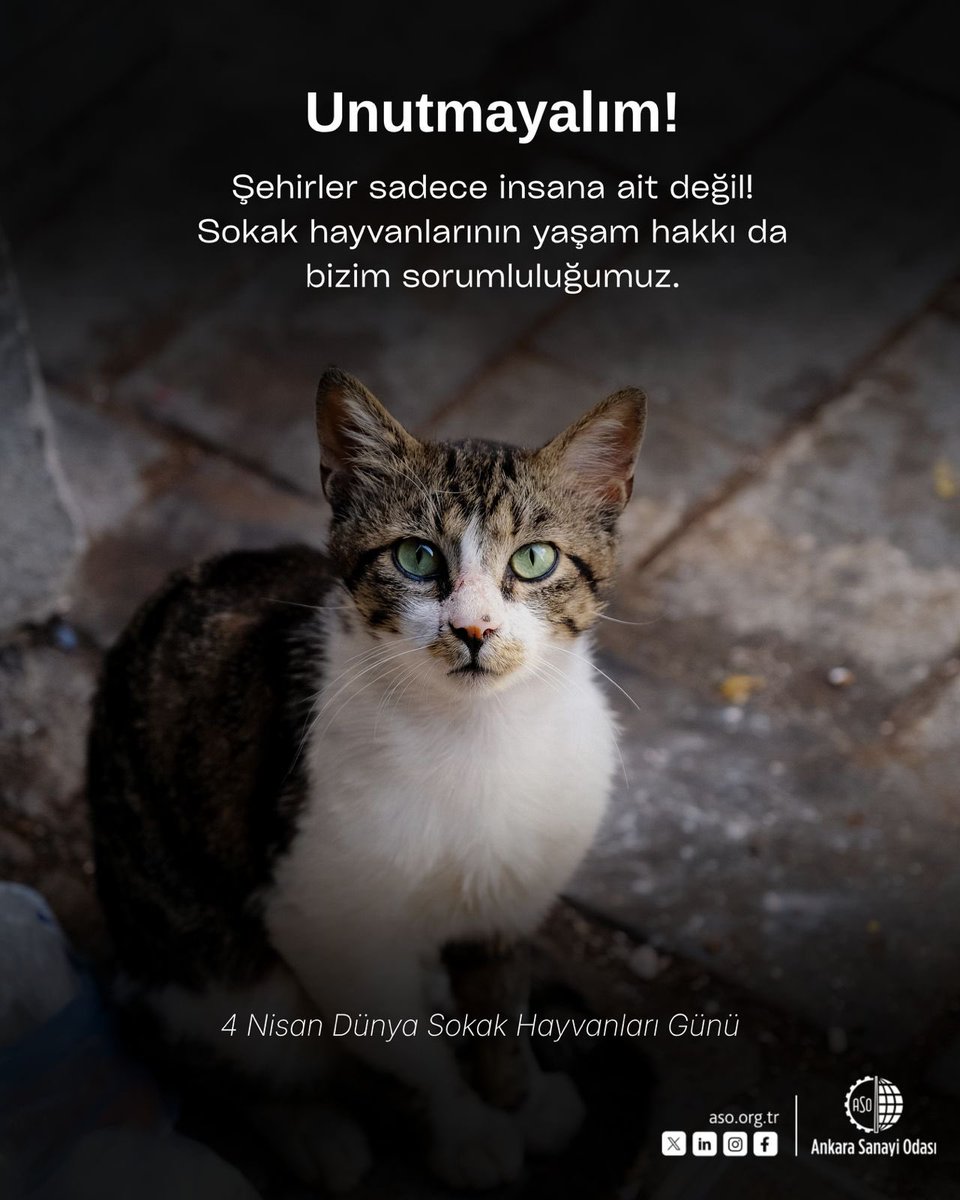 Ankara Sanayi Odası tweet media