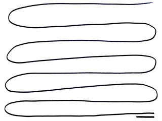 sweet daddy luv tweet media