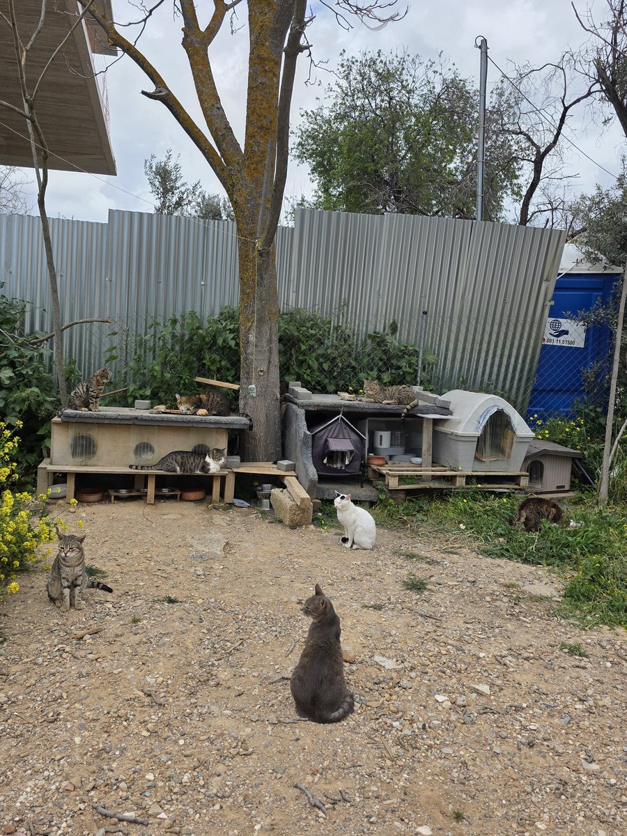 zinasoft tweet media