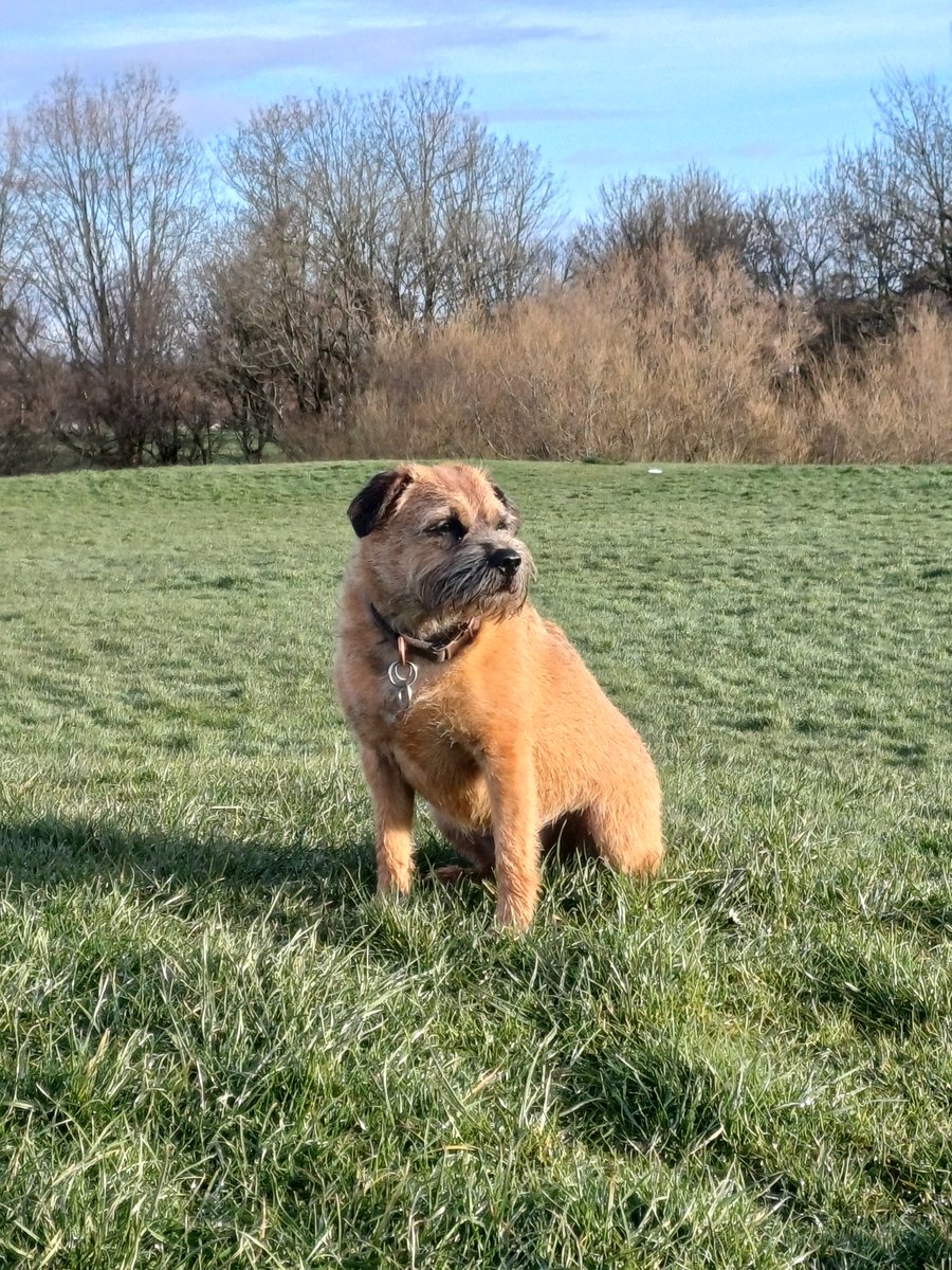 Morag the Toerag tweet media