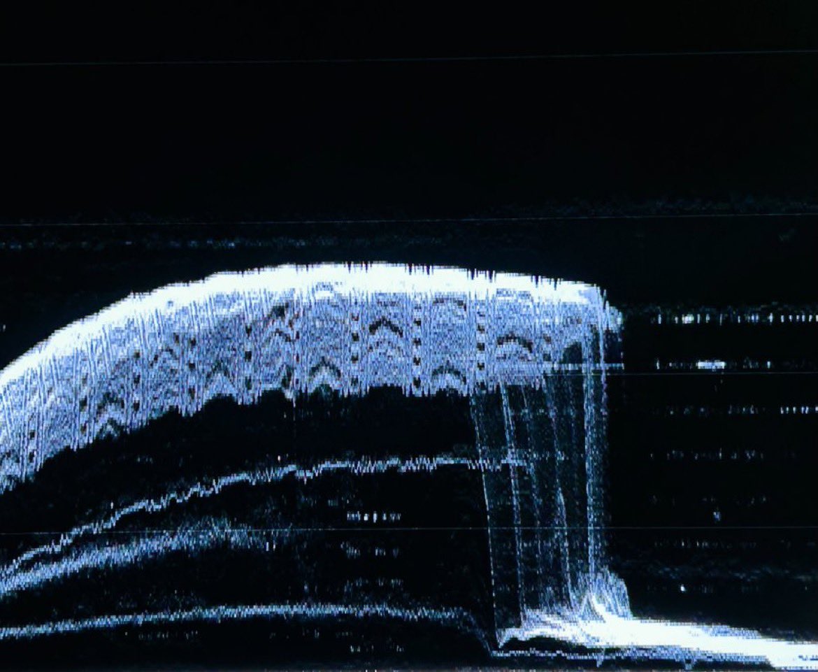 The Backrooms Online tweet media