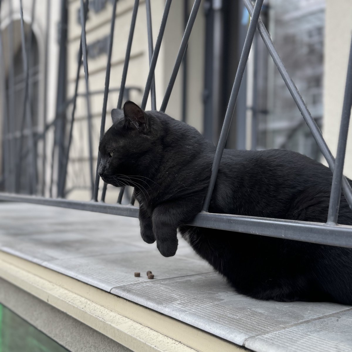 маринове варення tweet media