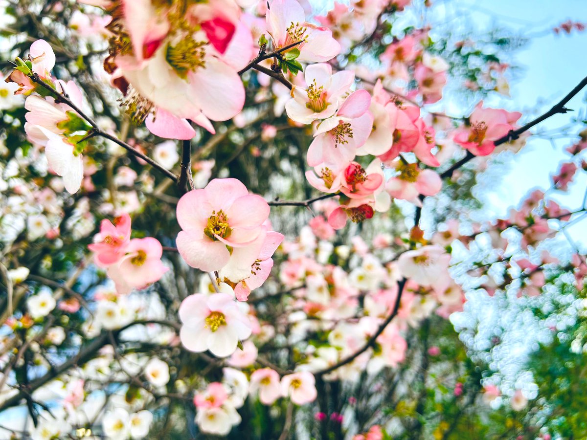 もか☁️ tweet media