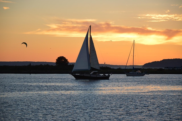 Jim Samal tweet media