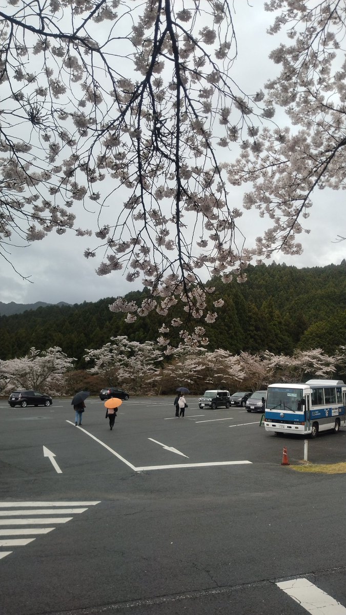 きむたけ＠中和文化社【非公式】 tweet media