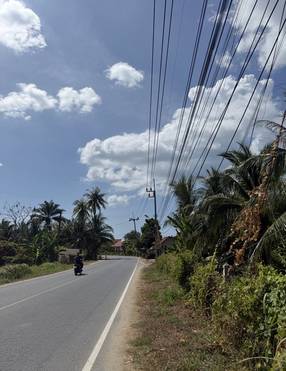 Nicol 🤍 tweet media