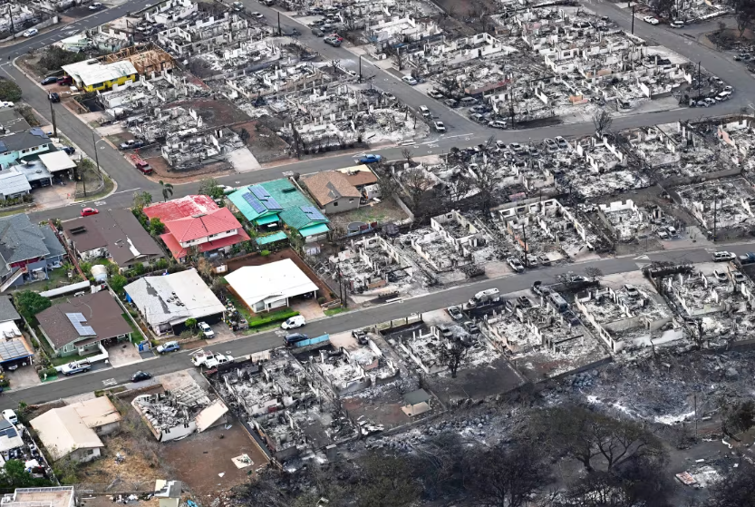 Henke Levin tweet media