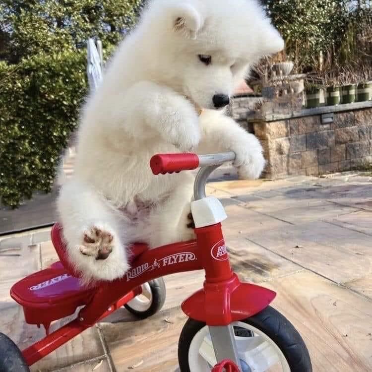 มะเต้อ✿ tweet media