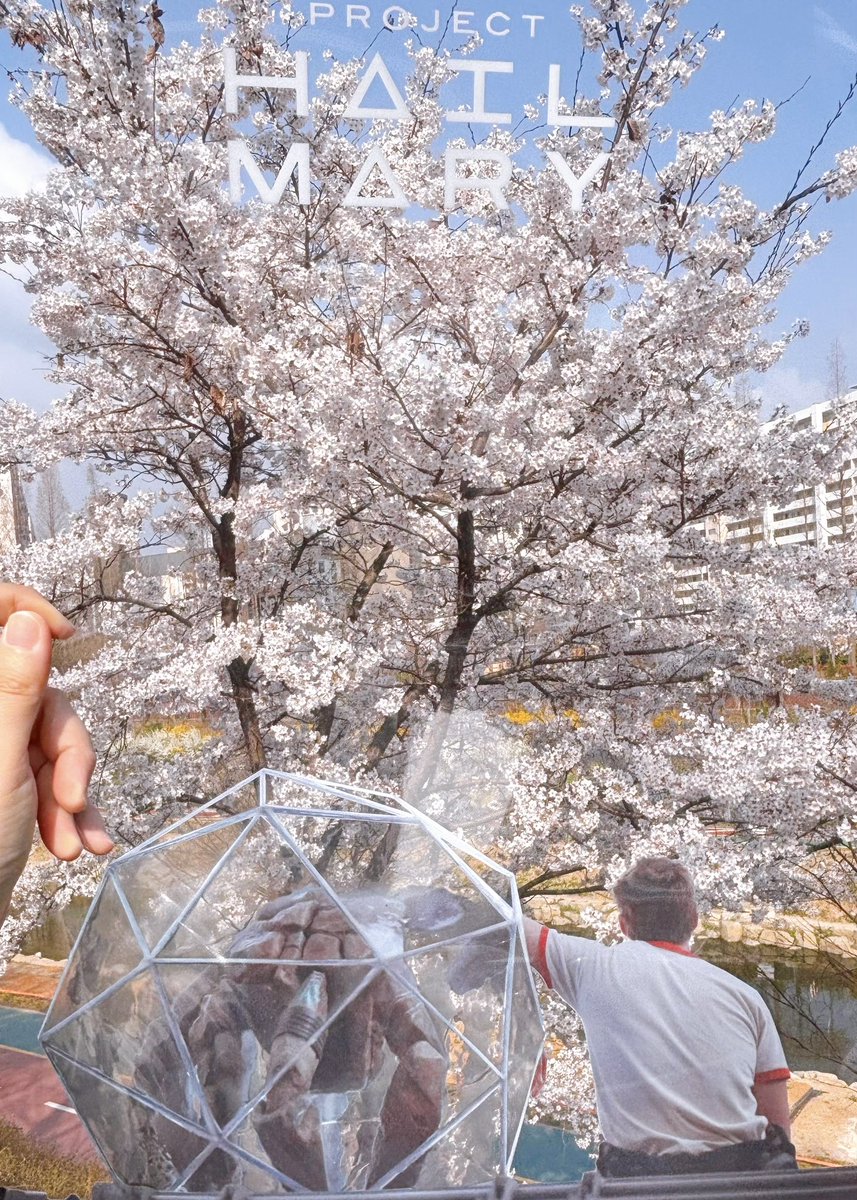 【き8】RMLAND 蘭彗☆✈🐓🐺✈ tweet media