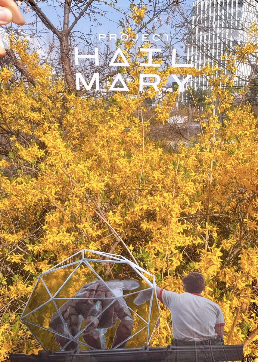 【き8】RMLAND 蘭彗☆✈🐓🐺✈ tweet media