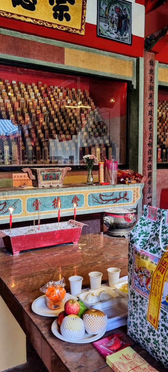 Marius 👁️⚡🌱 tweet media