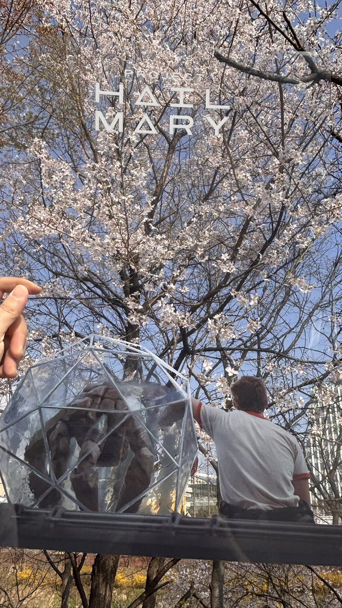 영원히 목이 칼칼한 清嵐☆ tweet media