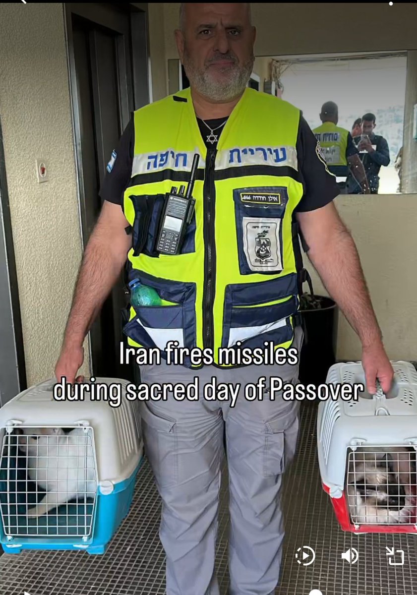 TRUMPSTEIN tweet media