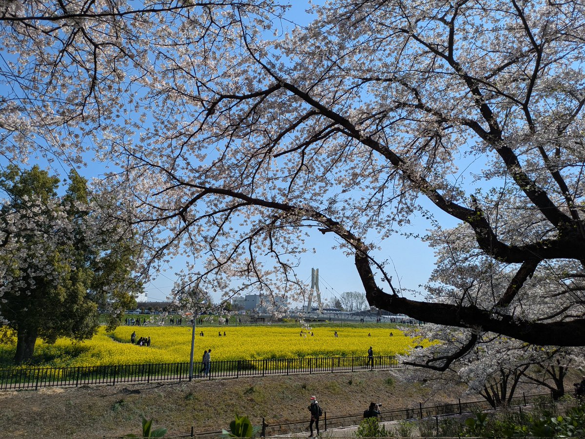 🍀四つ葉のクローバー🍀アイコンは私のデザインなので使用禁止 tweet media