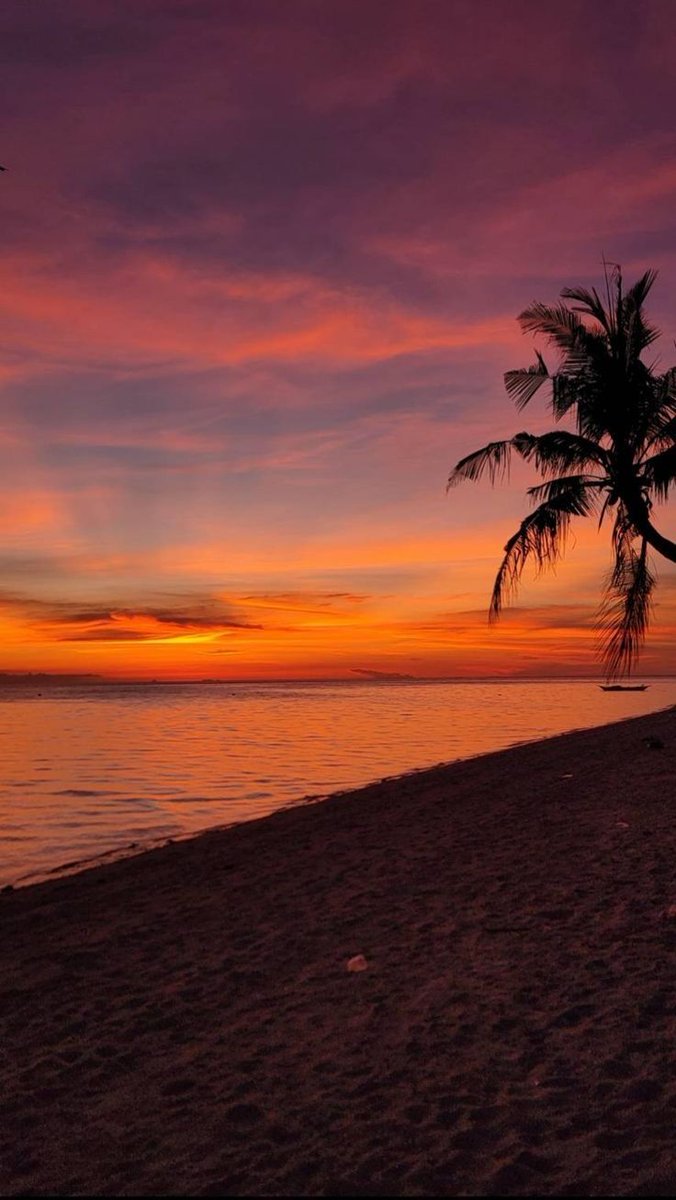 Archillct tweet media