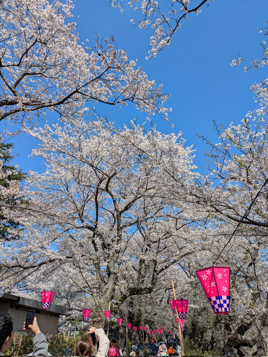 🍀四つ葉のクローバー🍀アイコンは私のデザインなので使用禁止 tweet media