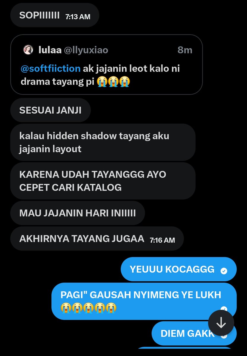 sofi ʚɞ tweet media