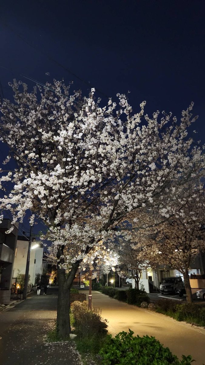 岩崎康雄(ミンキー・ヤス)の「今日も『てやんday❗️』」 tweet media