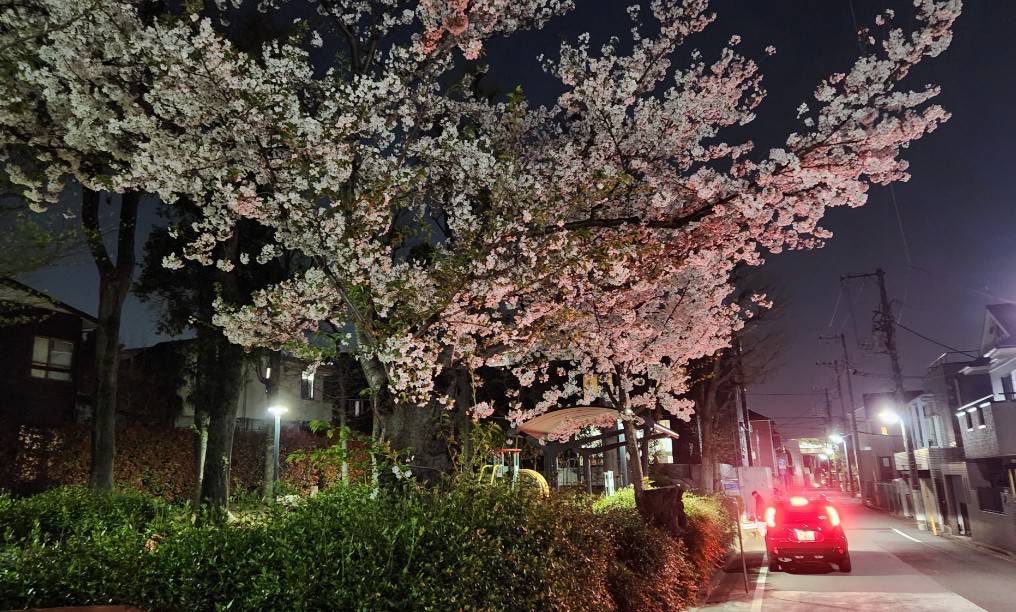 岩崎康雄(ミンキー・ヤス)の「今日も『てやんday❗️』」 tweet media