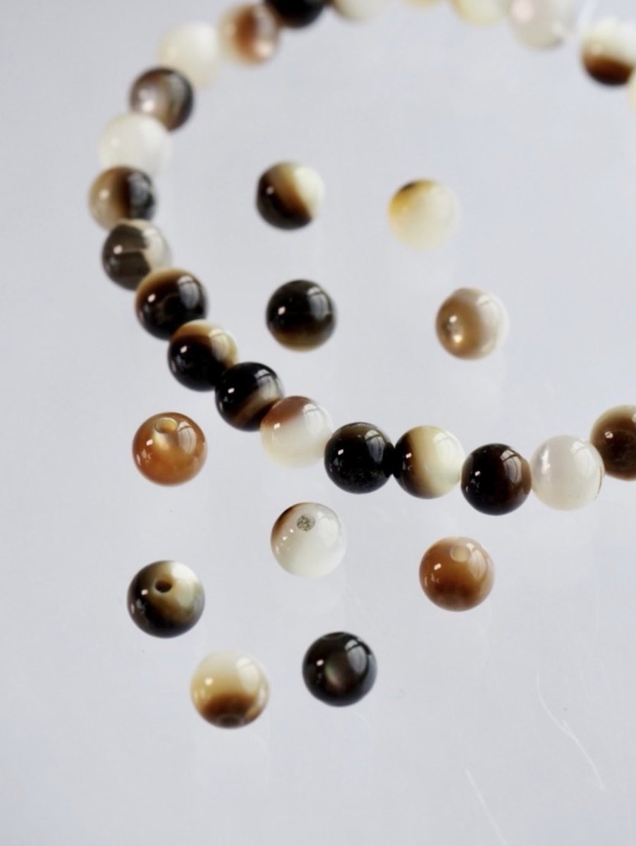 貝殻の問屋さん tweet media