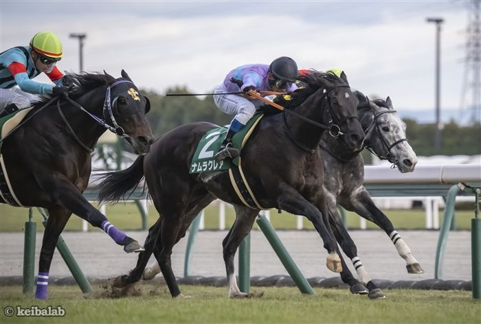 keibalab's tweet photo. 【ありがとうナムラクレア】
ナムラクレア
Namura Clair
(牝7、栗東・長谷川浩大厩舎)
父ミッキーアイル
母サンクイーン2
母父Storm Cat
#ナムラクレア #引退
https://t.co/NkW8Vf8EOQ https://t.co/agjowu5lca