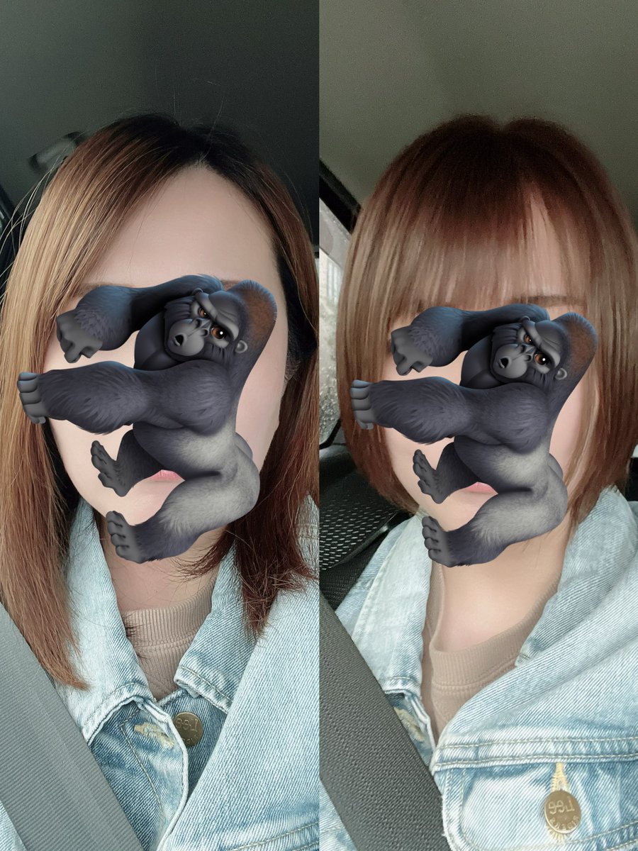 春樹@春インテ一般 tweet media