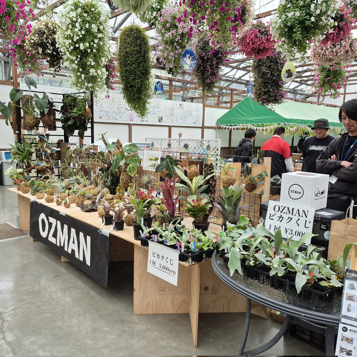 銀パパ tweet media