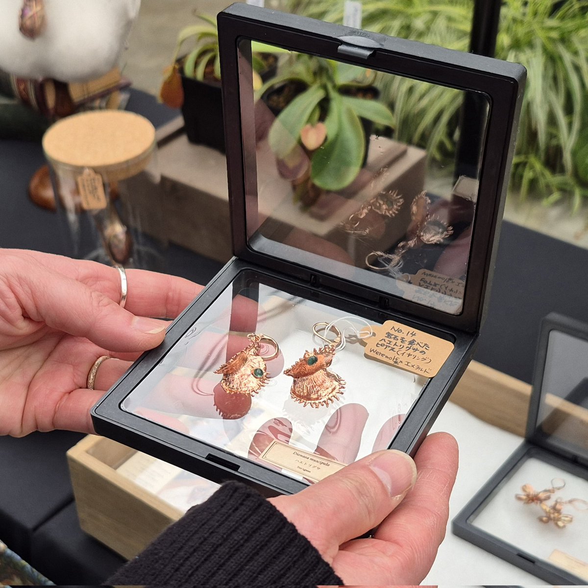 銀パパ tweet media