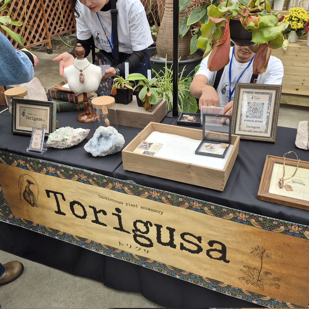 銀パパ tweet media